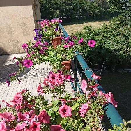 A Casa Di Ale Bed and breakfast